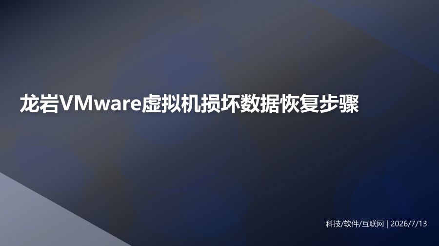 龙岩某企业VMware虚拟机损坏数据恢复步骤
